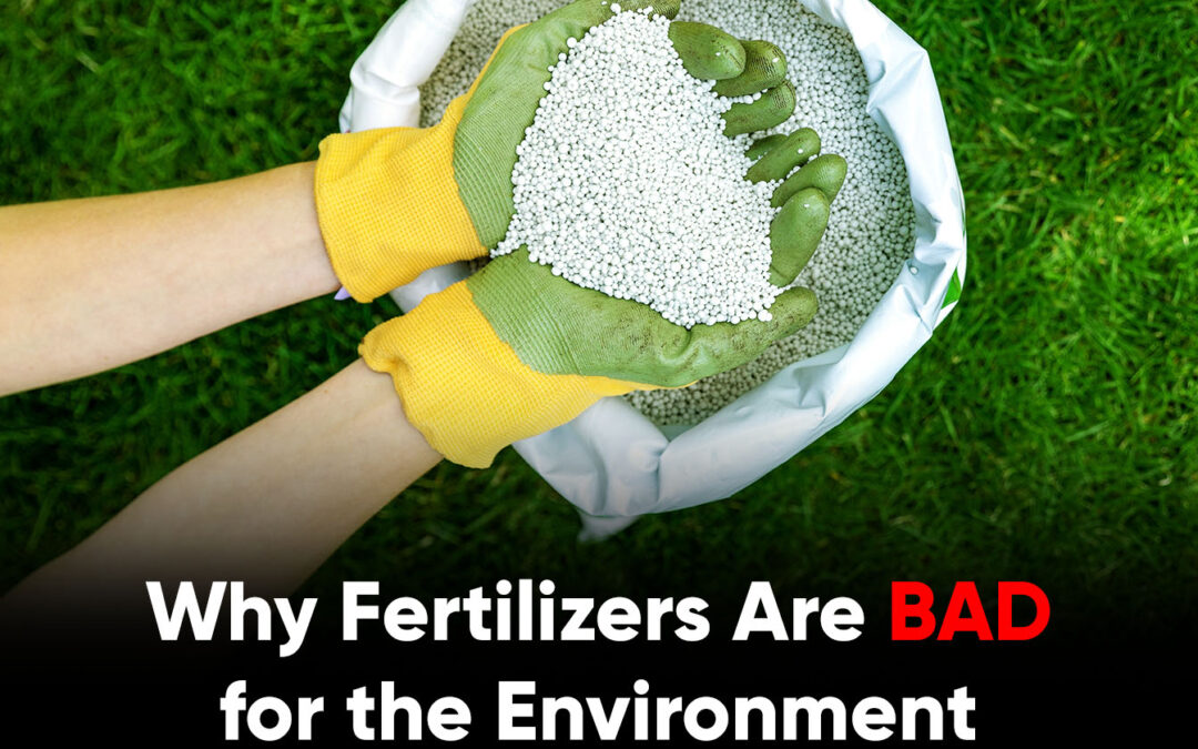 Fertilizers Are Bad for the Planet: Synthetic Grass in Tracy is a Greener Solution