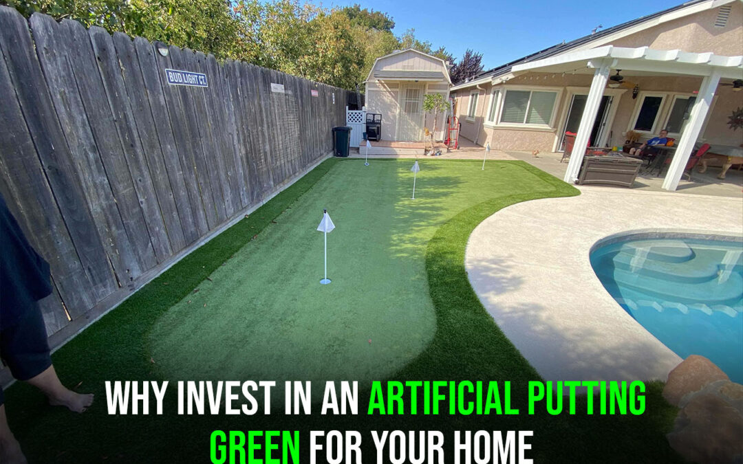 Why Invest in an Artificial Putting Green for Your Home backyard - tracy