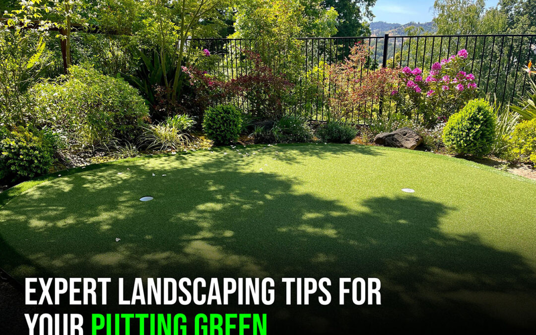 Landscaping Around Your Backyard Putting Green in Tracy