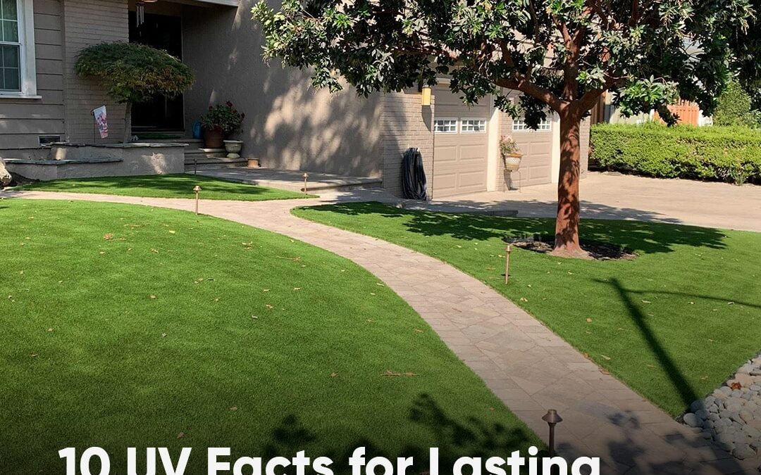 What Makes Artificial Grass Resistant to Damage from UV Rays?