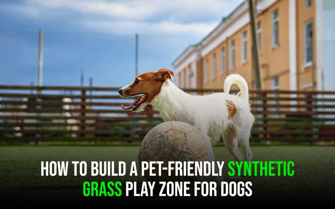 Create a Safer Doggie Play Area with Synthetic Grass for Pets in Tracy